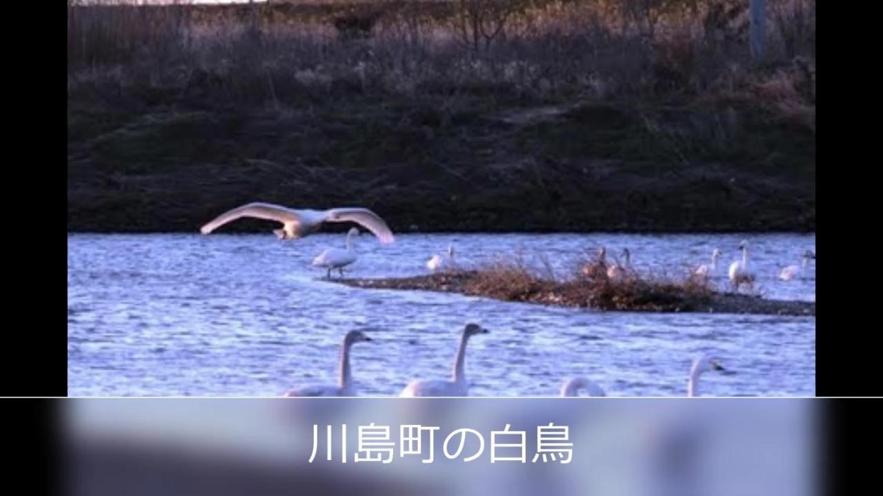 Le Ciel Spa & Resort (Adults Only) Tsurugashima Luaran gambar